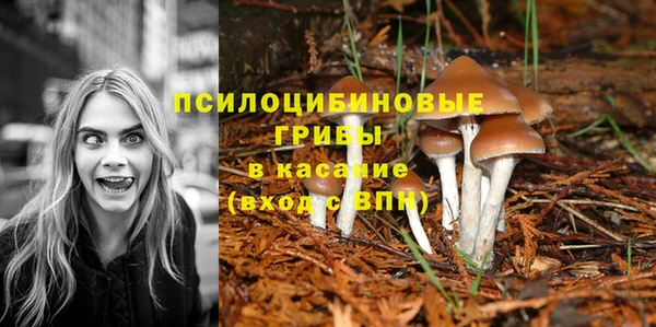 spice Абинск