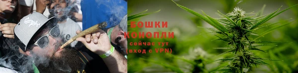 spice Абинск