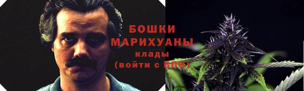 сатива Чердынь