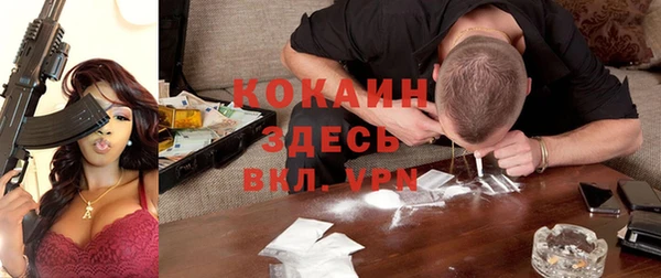 ECSTASY Чекалин