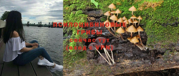 экстази Абаза