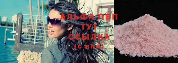 сатива Чердынь