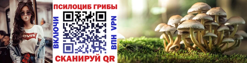 цены   Знаменск  Галлюциногенные грибы Psilocybe 